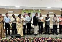 प्राचार्य. डॉ.मृणाल काळे उत्कृष्ट प्राचार्य म्हणून सन्मानित…