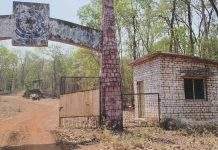 दुर्लक्षित म.सा. कन्नमवार इको पार्कच्या विकासासाठी राज्य सरकारने निधी द्यावा; वनविभागाने तातडीने पुढाकार घ्यावा !…