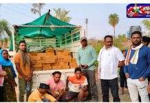 नैनवाडी वनक्षेत्रात मोठी कारवाई : अवैध सागवानासह ९.५ लाखांचा मुद्देमाल जप्त…